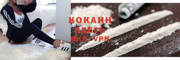 мяу мяу кристалл Богданович