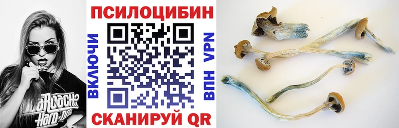 ссылка на мегу ONION  Ковылкино  Галлюциногенные грибы MAGIC MUSHROOMS 